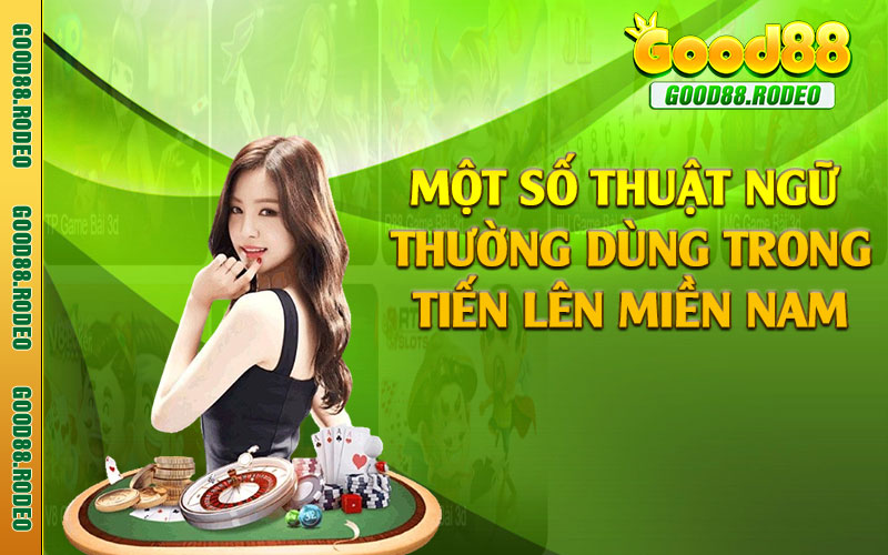 Một số thuật ngữ thường dùng trong tiến lên miền Nam